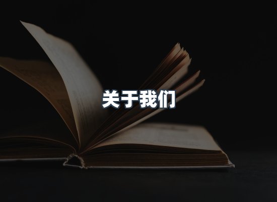 专业团队